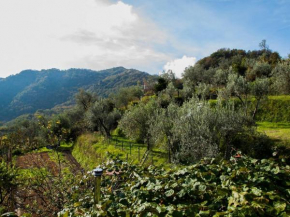 Casa Tulipiè, nel verde e a pochi minuti dal mare